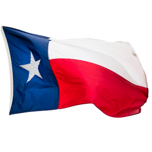 State flag of Texas